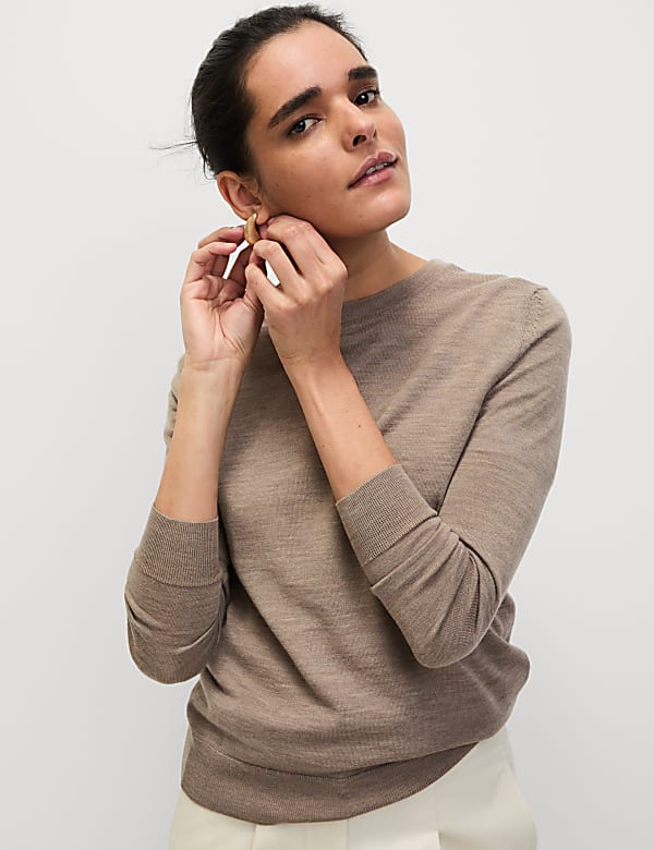 Pure Merino Wool Crew Neck Jumper