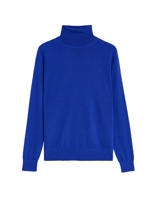 Pure Merino Wool Roll Neck Jumper
