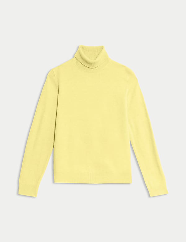 Air-Yarn Roll Neck Jumper - PL