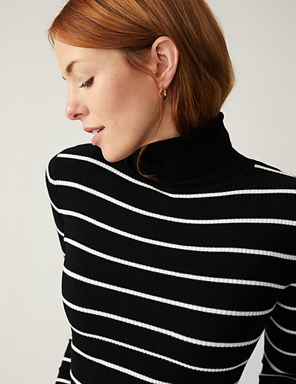 Striped Ribbed Roll Neck Jumper