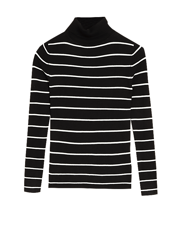 Striped Ribbed Roll Neck Jumper