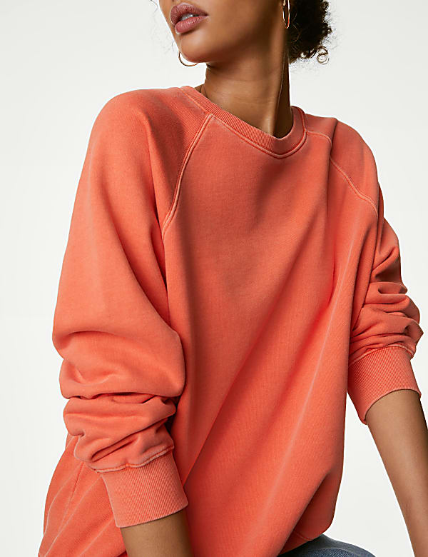 Pure Cotton Crew Neck Sweatshirt