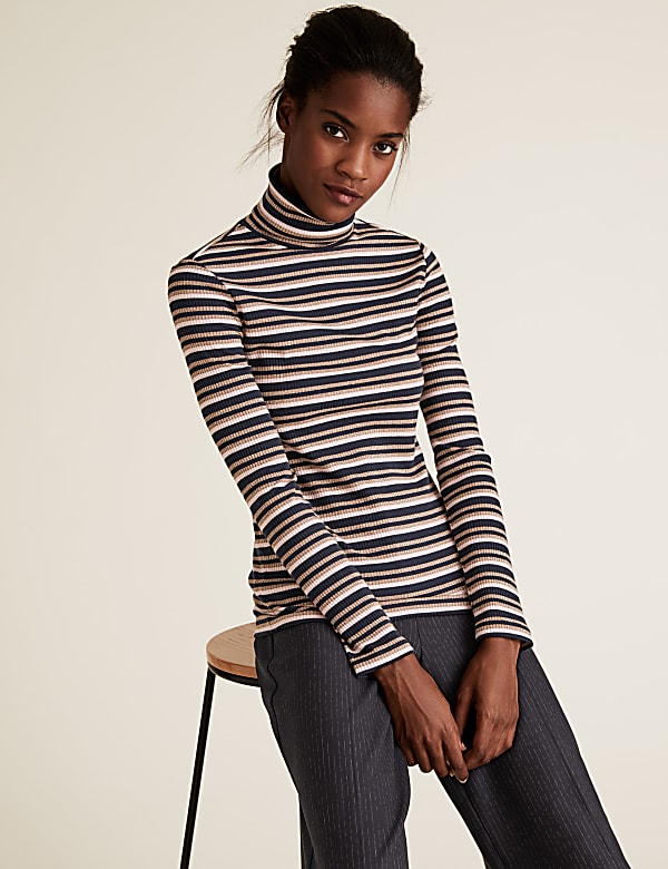 Sparkly Striped Funnel Neck Fitted Top