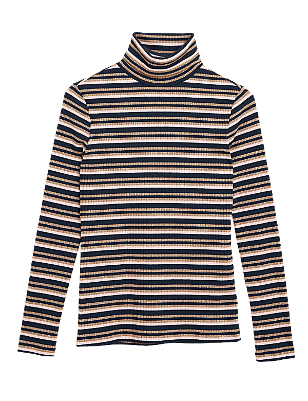 Sparkly Striped Funnel Neck Fitted Top