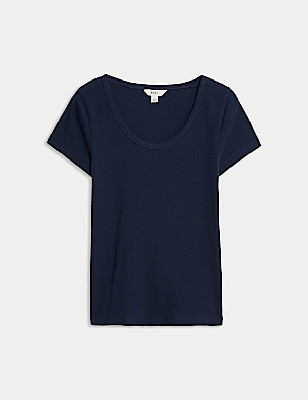 Cotton Rich Scoop Neck T-Shirt - NZ