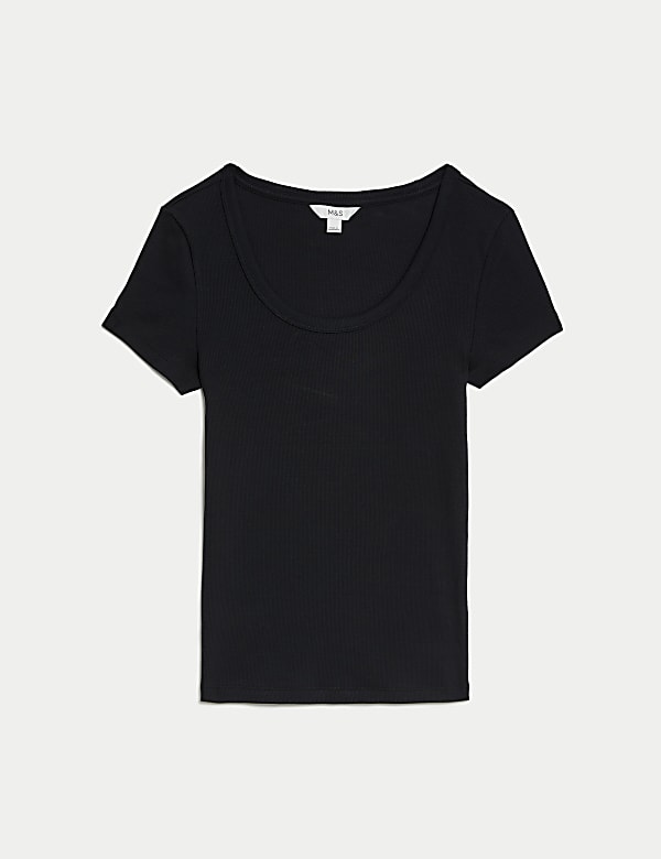 Cotton Rich Slim Ribbed Scoop Neck T-shirt - CA