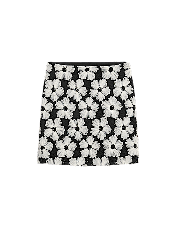 Embellished Mini A-Line Skirt