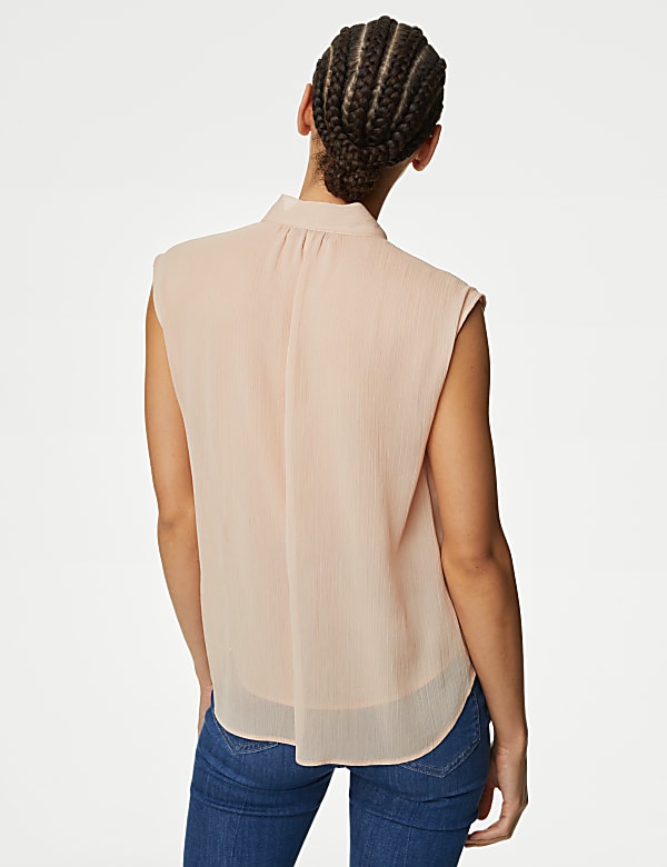 Sheer Tie Neck Frill Detail Blouse