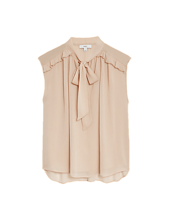 Sheer Tie Neck Frill Detail Blouse