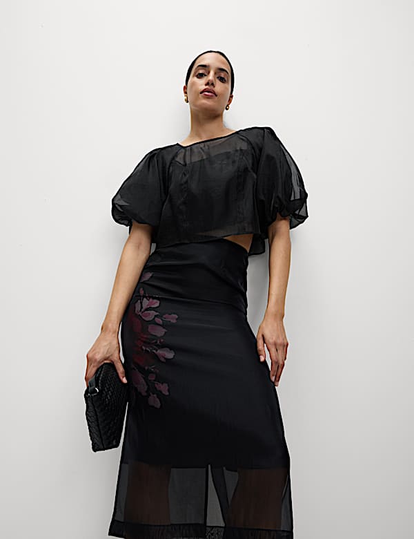 Organza Puff Sleeve Top