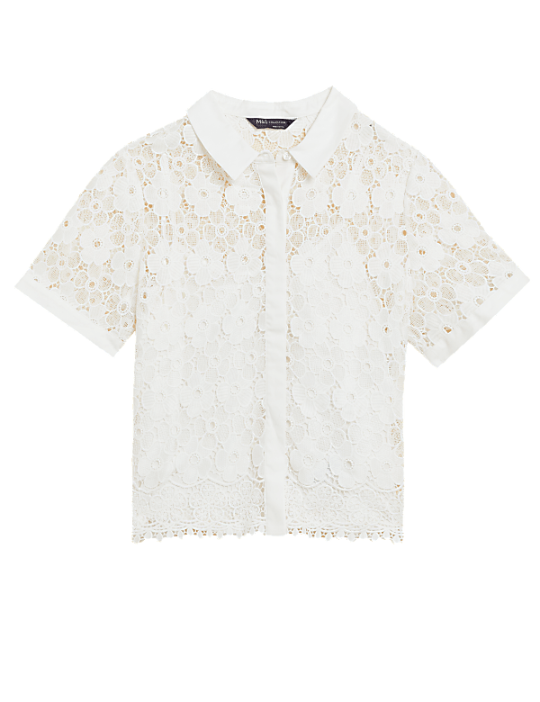Lace Collared Short Sleeve Shirt