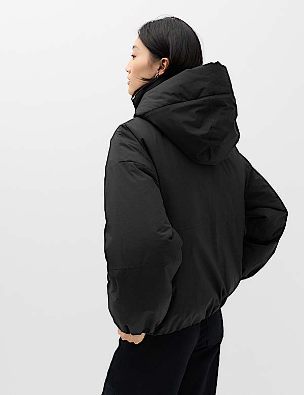 Padded Thermowarmth Hooded Jacket - TW