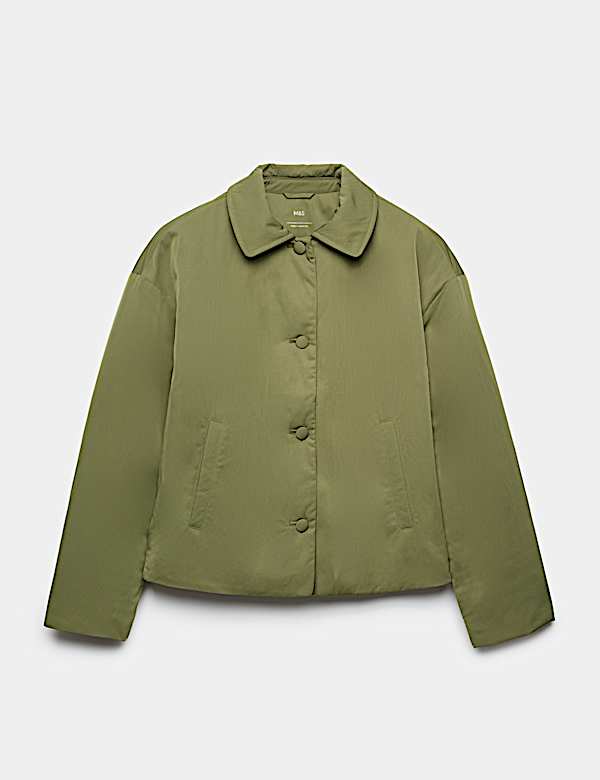 Padded Collared Short Jacket - ID