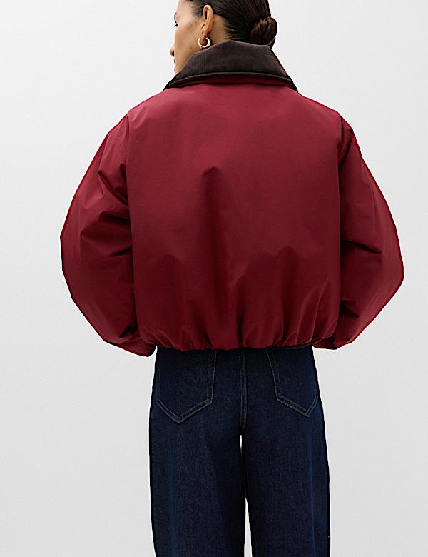 Thermowarmth&trade; Cord Collar Short Padded Jacket