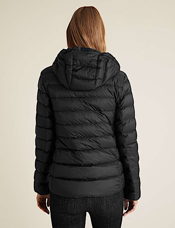Feather & Down Hooded Short Puffer Jacket - PL