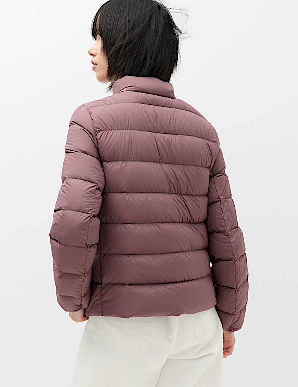 Feather & Down Padded Puffer Jacket