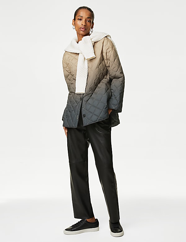 Ombre Quilted Collarless Jacket