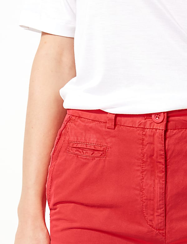 Pure Cotton Chino Shorts