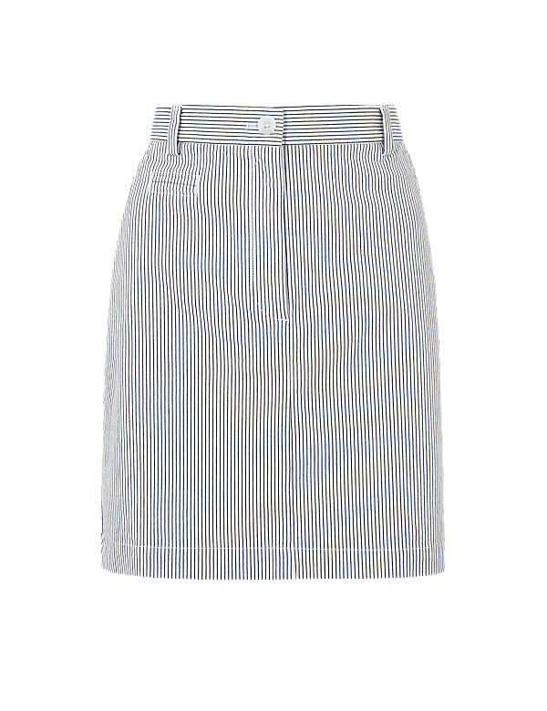 Striped A-Line Mini Skirt