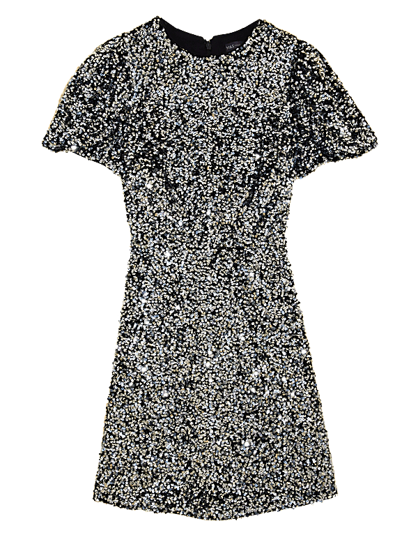 Sequin Round Neck Knee Length Tea Dress