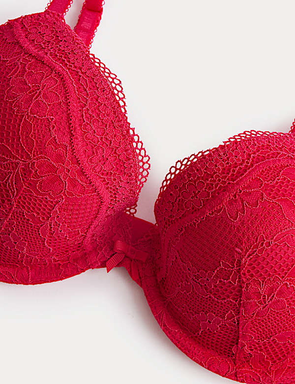 Jasmine Lace Wired Plunge Bra A-E