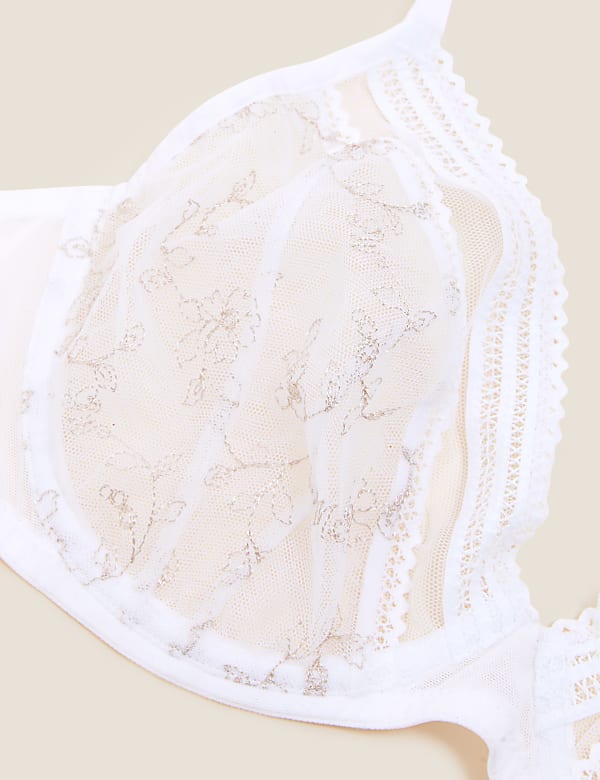 Archive Embroidery Wired Plunge Bra