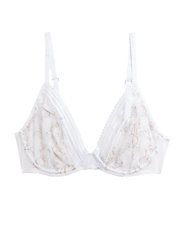 Archive Embroidery Wired Plunge Bra