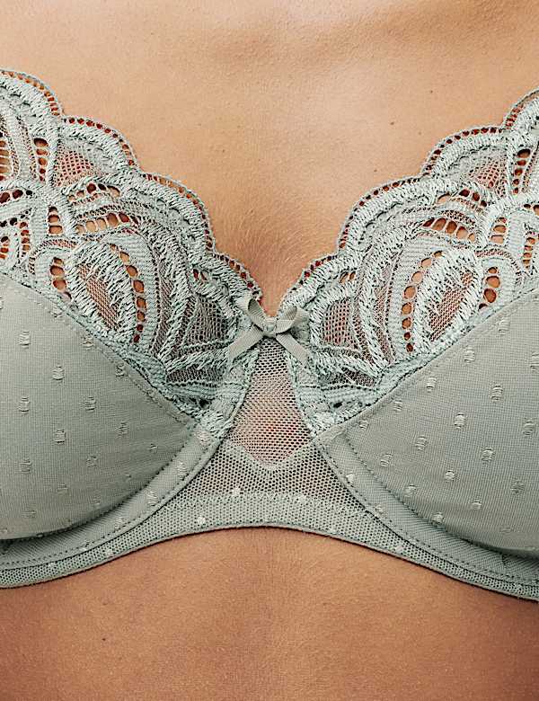 Amelia Lace Wired Full Cup Bra (A-E) - GR