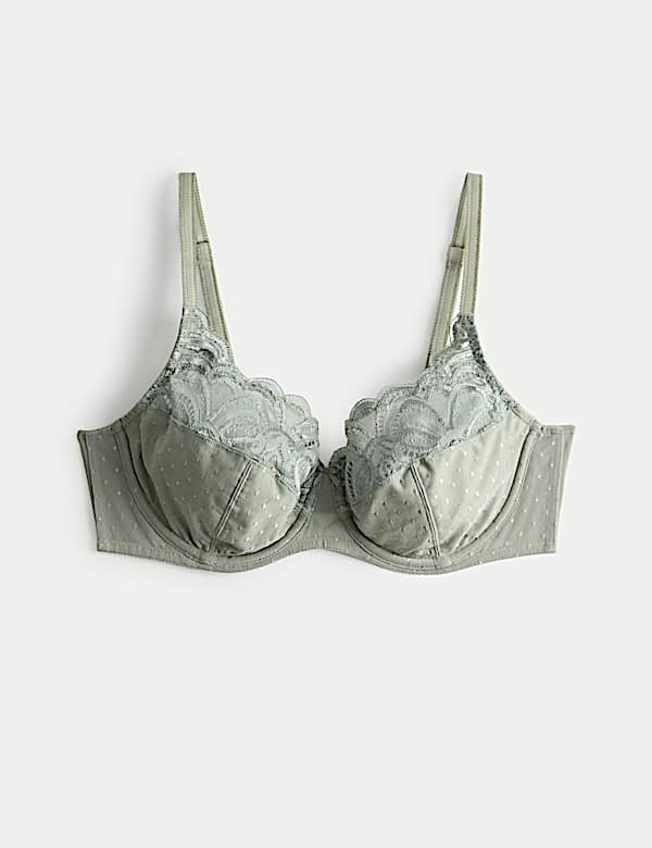 Amelia Lace Wired Full Cup Bra (A-E) - GR