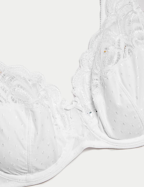 Amelia Lace Wired Full Cup Bra (A-E)