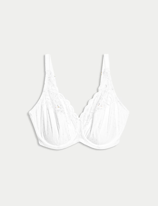 Amelia Lace Wired Full Cup Bra (F+) - NL