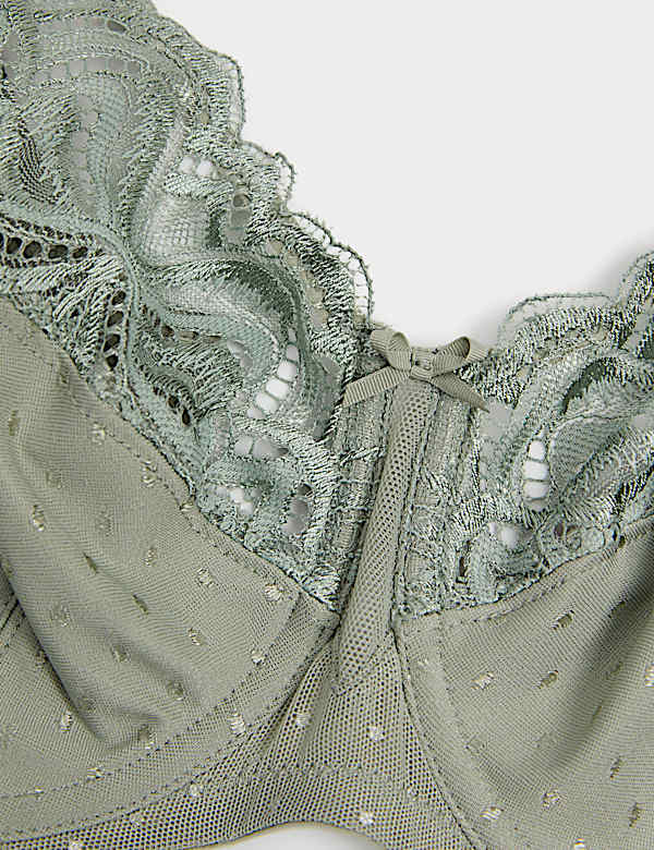 Amelia Lace Wired Full Cup Bra (F-J)