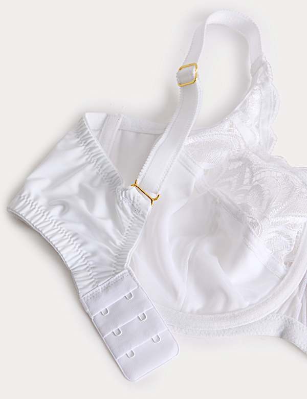 Amelia Lace Wired Full Cup Bra (F-J)