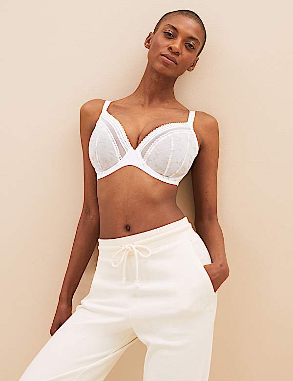 Archive Embroidery Wired Plunge Bra
