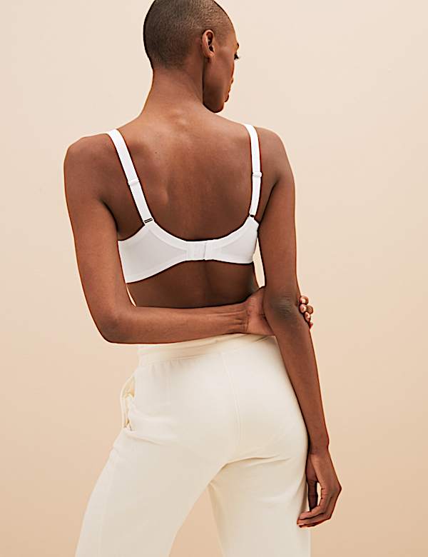 Archive Embroidery Wired Plunge Bra
