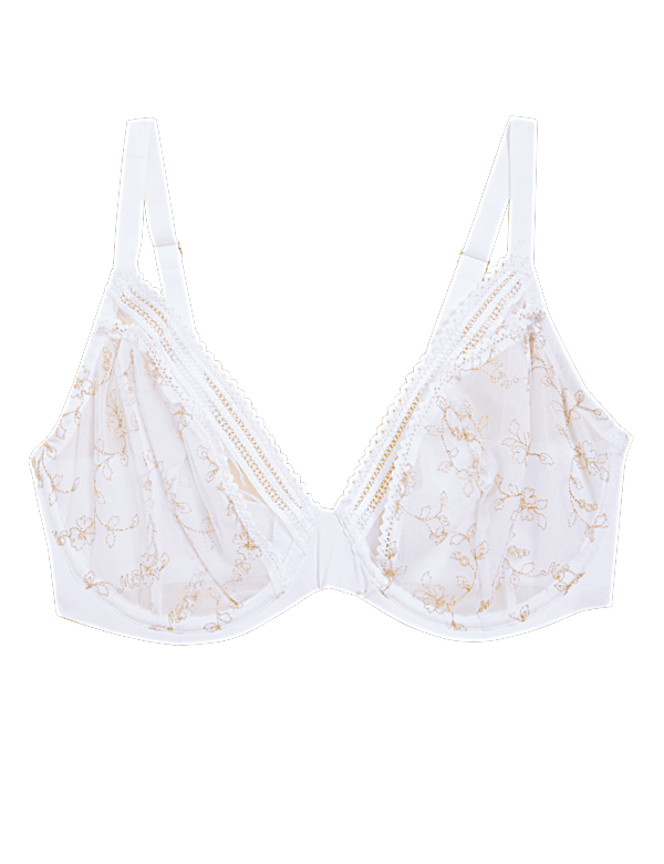Archive Embroidery Wired Plunge Bra
