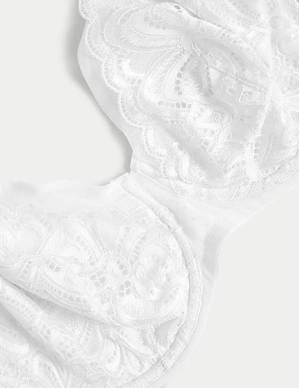 Amelia Lace Natural Lift Wired Full Cup Bra (F+)