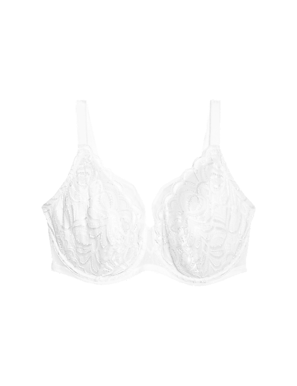 Amelia Lace Natural Lift Wired Full Cup Bra (F+)