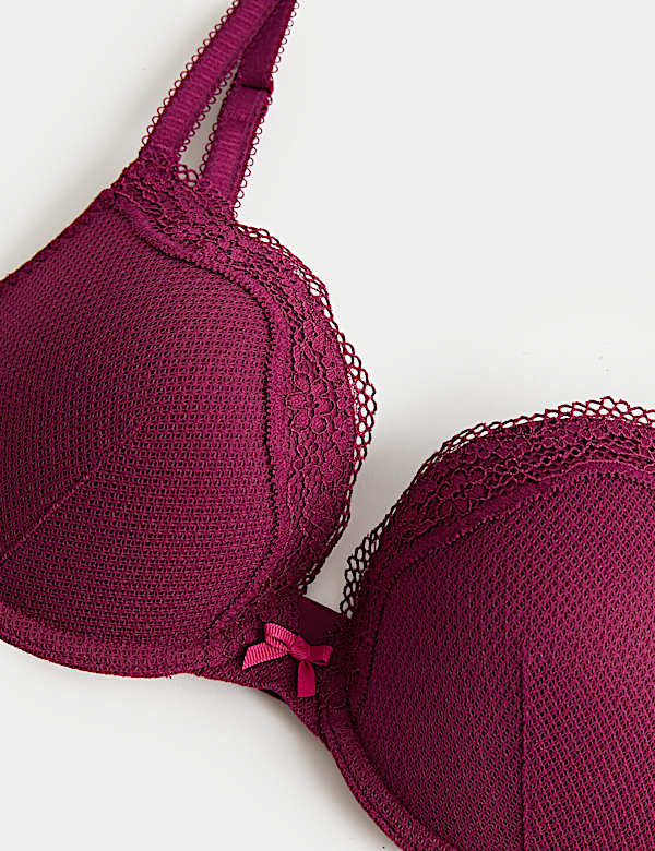 Jasmine Lace Wired Push Up Plunge Bra (A-E)