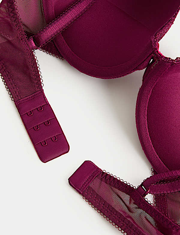 Jasmine Lace Wired Push Up Plunge Bra (A-E)