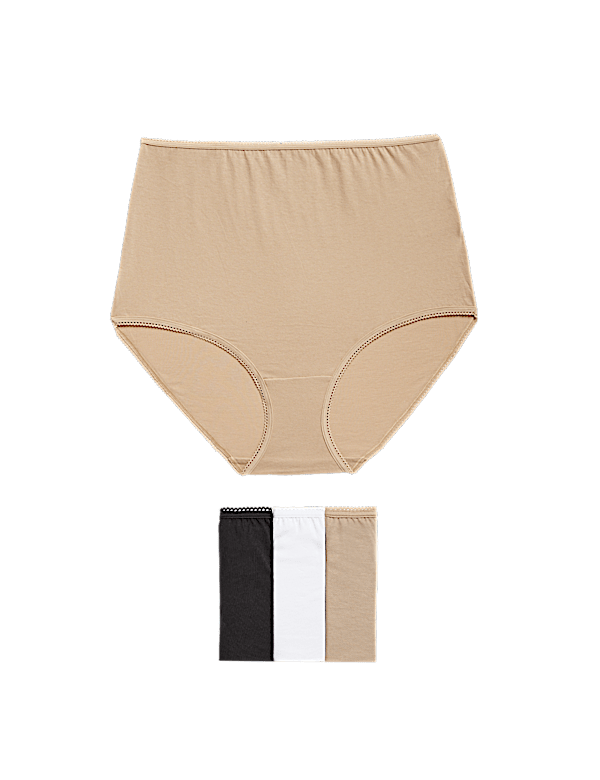 4 Pack Pure Cotton Regular Fit Knickers