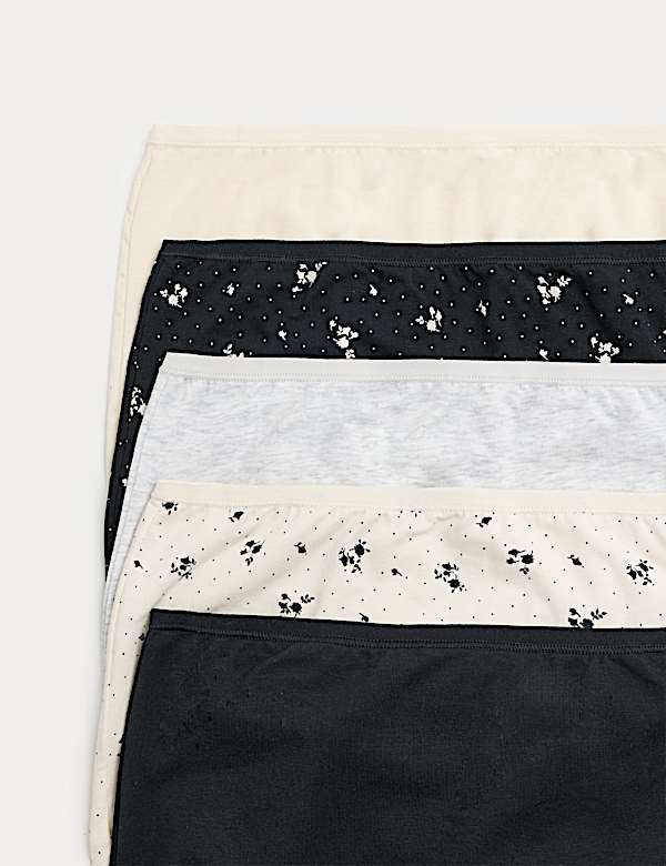 5pk Cotton Modal Rich Full Briefs