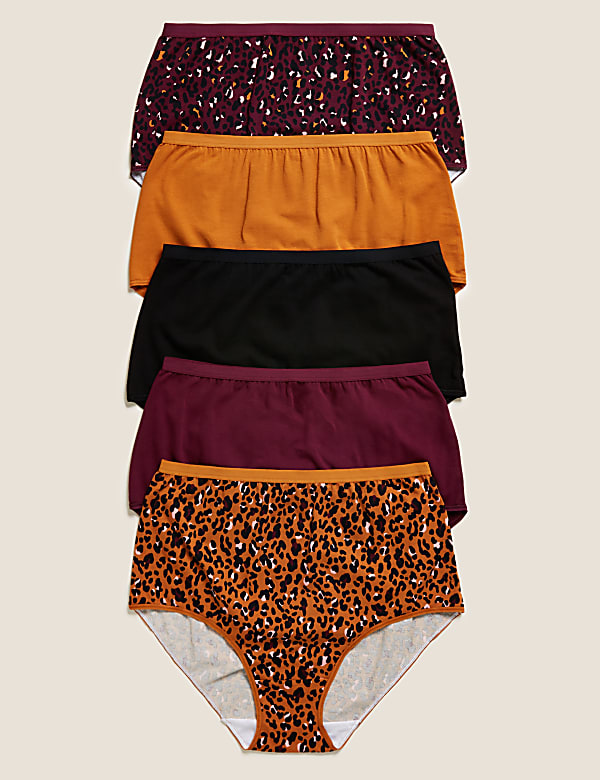 5pk Cotton Lycra® Leopard Print Full Briefs
