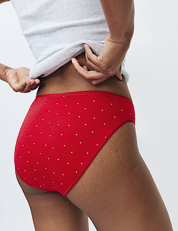 5pk Cotton Modal High Leg Knickers - US