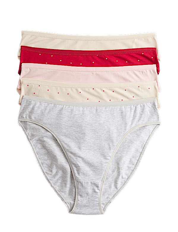 5pk Cotton Modal High Leg Knickers