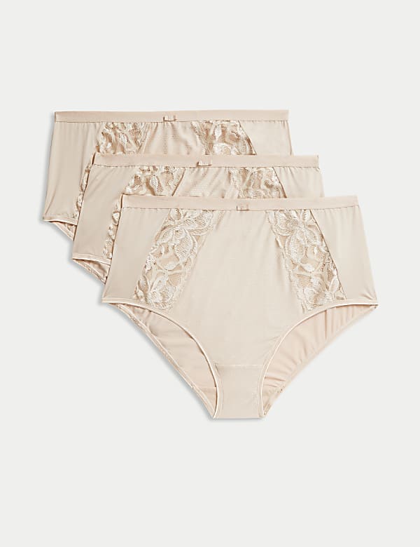 3pk Wildblooms Full Briefs - GR