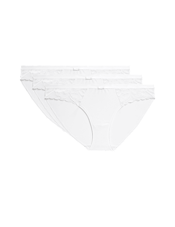 3pk Wild Blooms Bikini Knickers