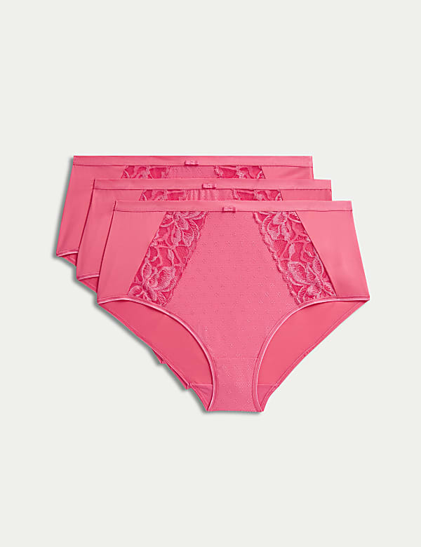 3pk Wildblooms Full Briefs - GR