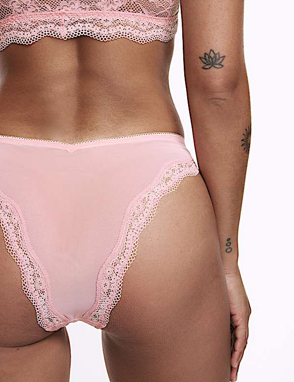 3pk Lace Miami Knickers - AL