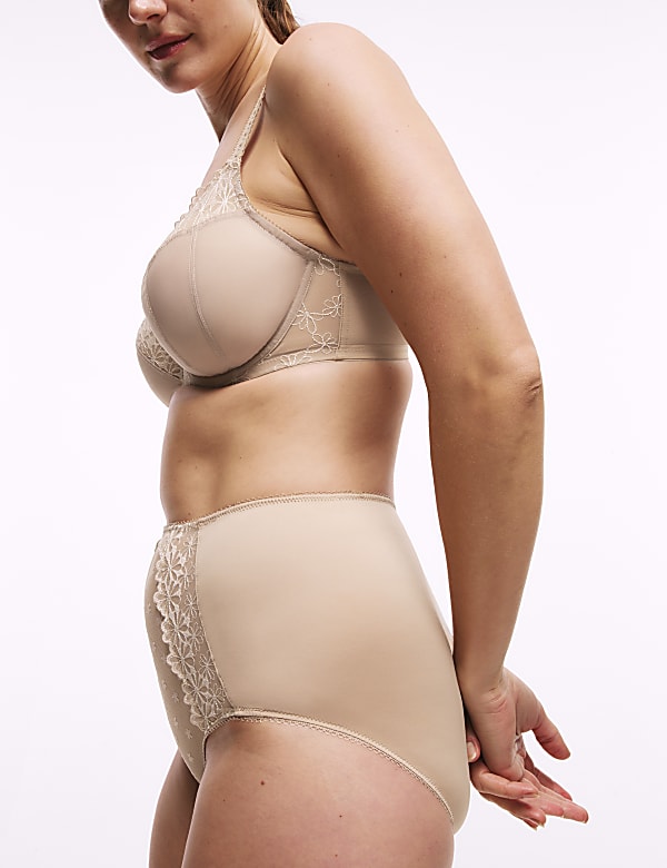 3pk Daisy Embroidery Full Briefs